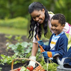 Gardening